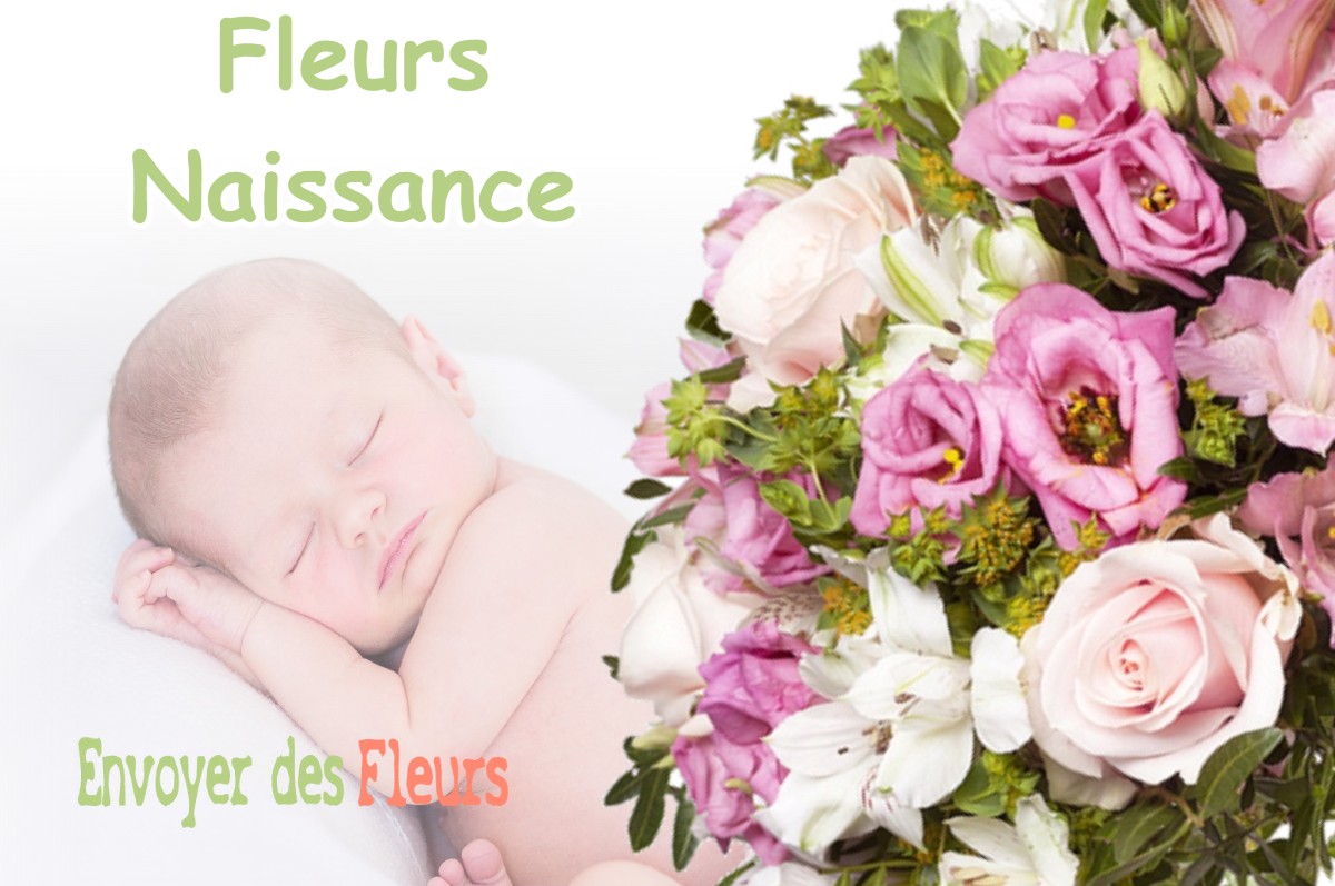 lIVRAISON FLEURS NAISSANCE à NOTRE-DAME-DE-VAULX